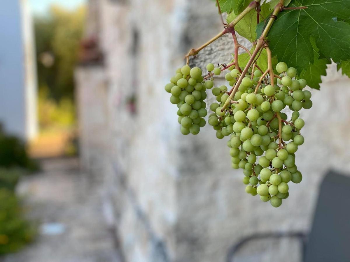 Il Palmento Relais